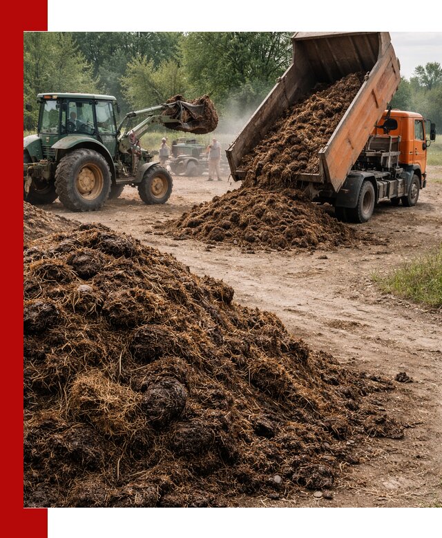Доставка навоза самосвалами в Александрове для сельхозпотребностей
