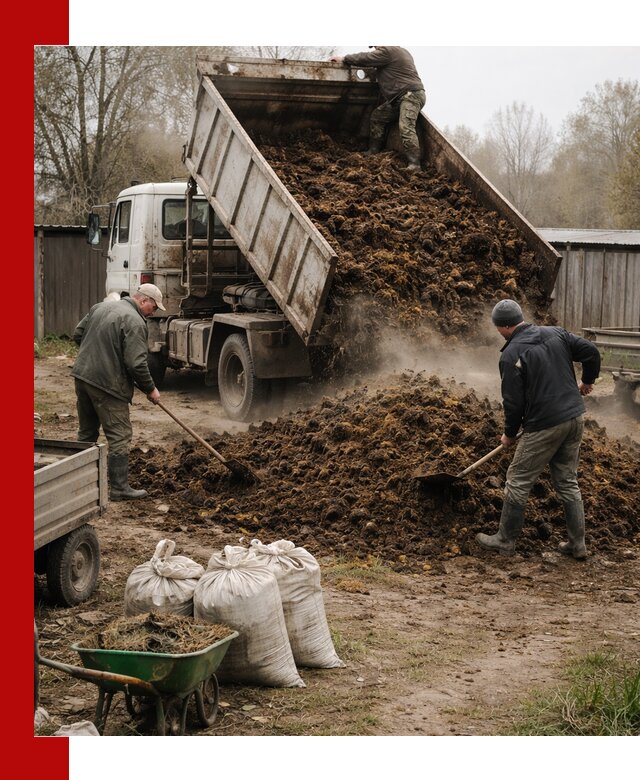 Доставка коровьего навоза самосвалом в Александрове